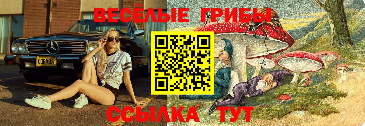 цена   Вход с VPN  Димитровград  Псилоцибиновые грибы MAGIC MUSHROOMS 