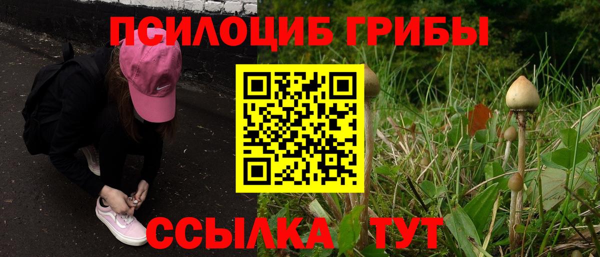 Псилоцибиновые грибы прущие грибы Димитровград
